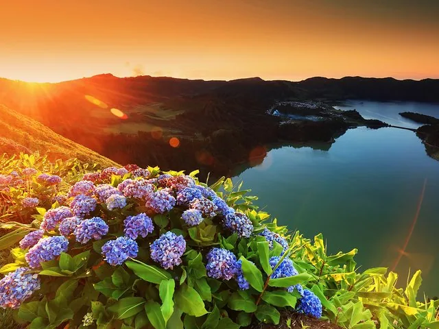 Vue panoramique d'un coucher de soleil sur un lac avec des hortensias au premier plan