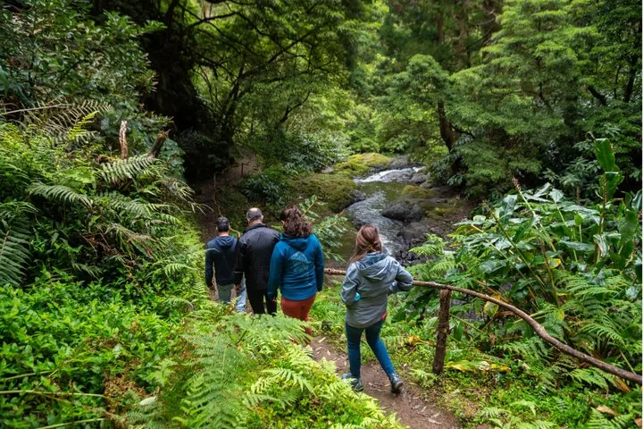 Dos personas descendiendo en rapel por una pared rocosa empinada junto a una cascada